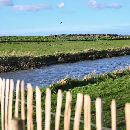 Tiny House Nature 14 Zur Meerseite - Green Tiny Village Harlesiel Carolinensiel Exterior foto